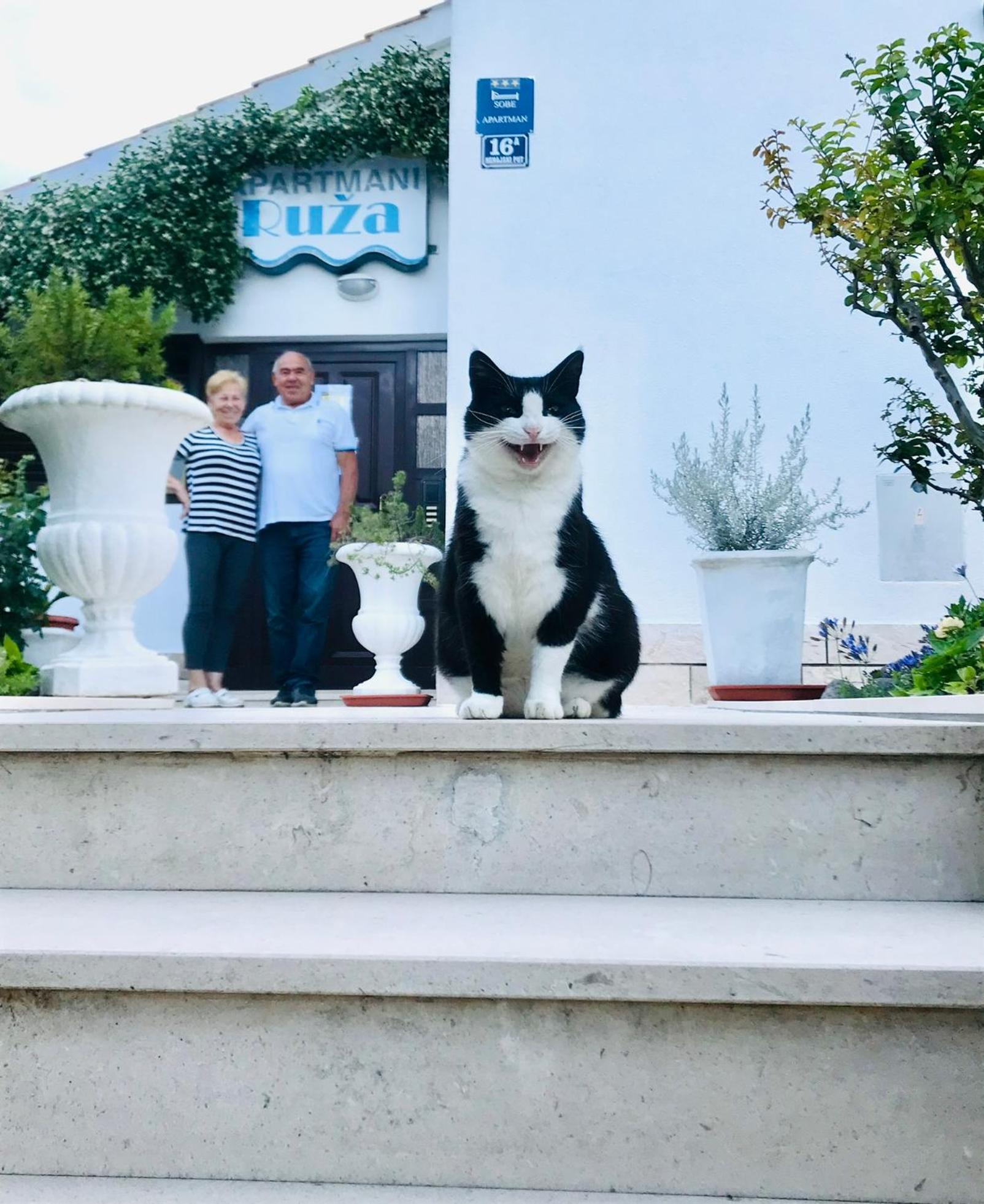 Apartments Ruza Kaštela エクステリア 写真